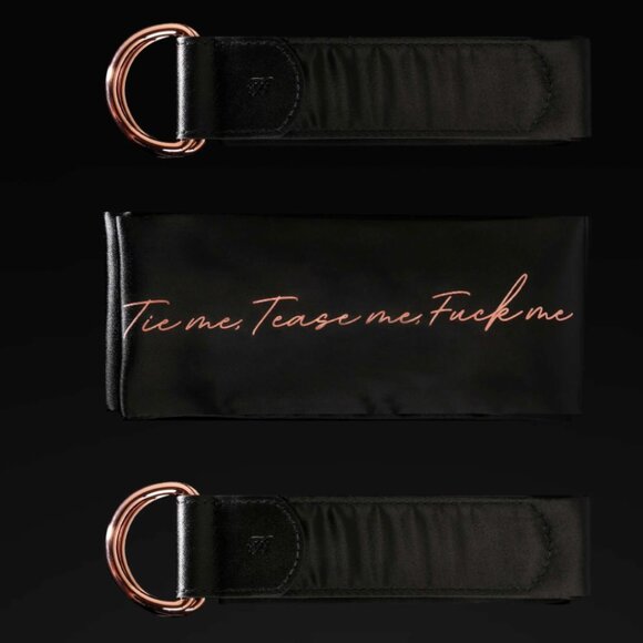 Honey Birdette Satin Bondage Set NWT - Picture 1 of 3